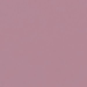 Meet your Posher, Nyla